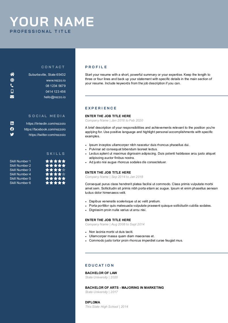 Professional Resume CV Templates and Online Resume Builder - Rezzo